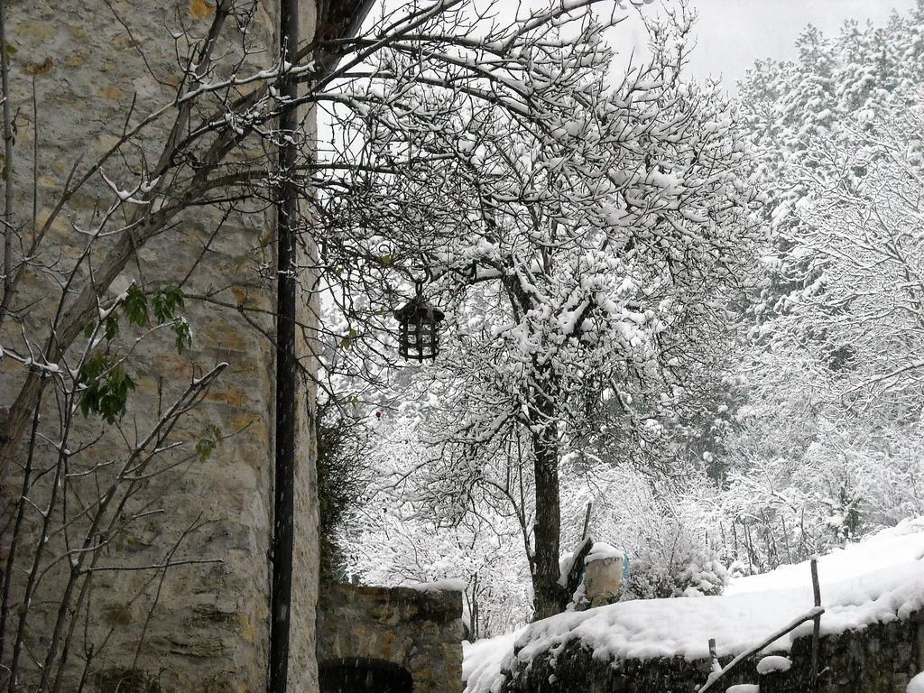 La Piazzetta Di Canale B&B Tenno Luaran gambar